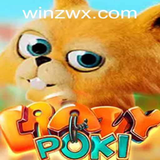 Exploring the World of CrazyPoki: A Dive into the Game and Its Features